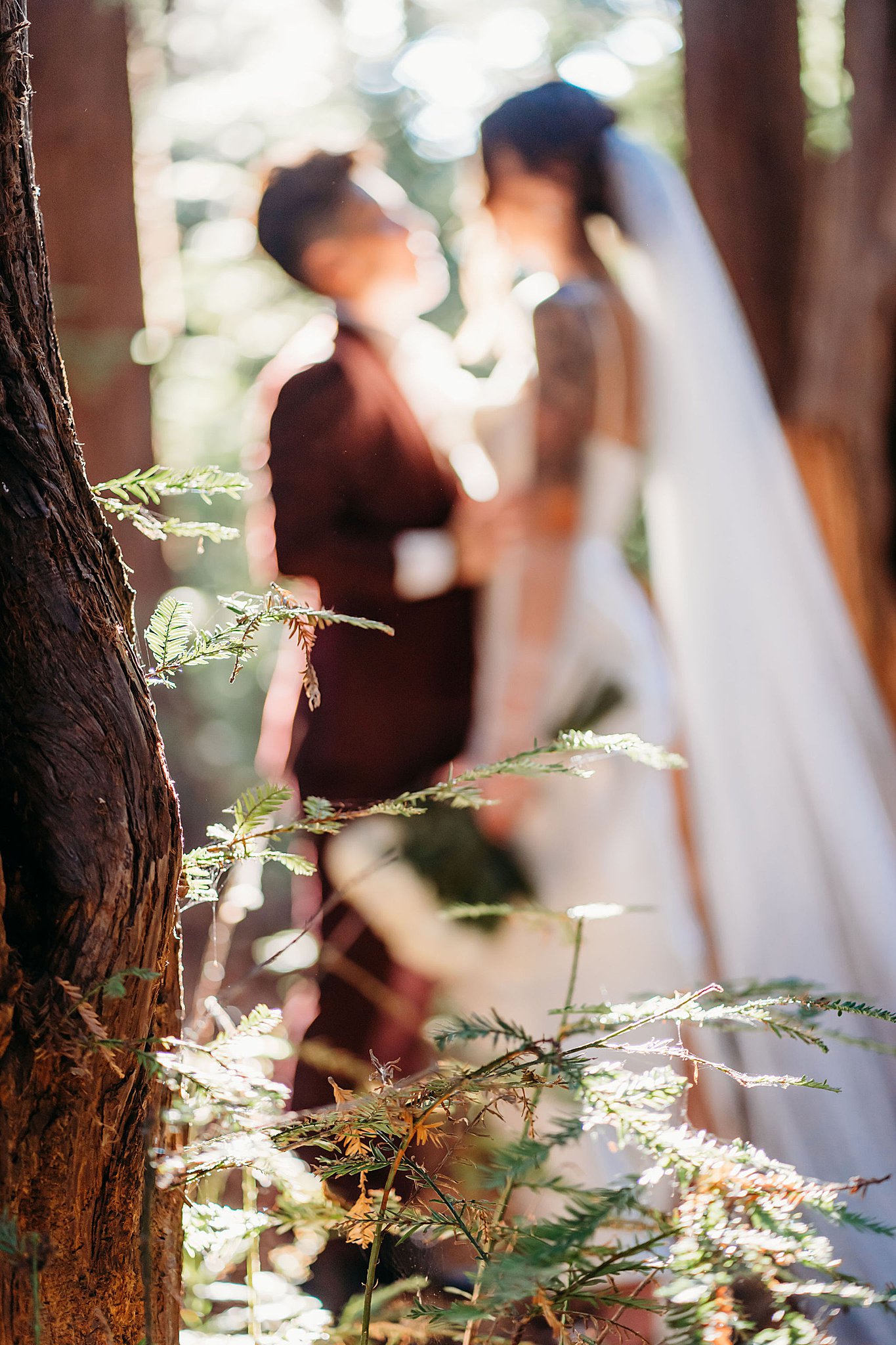Bride and Bride kiss in Santa Cruz redwoods
