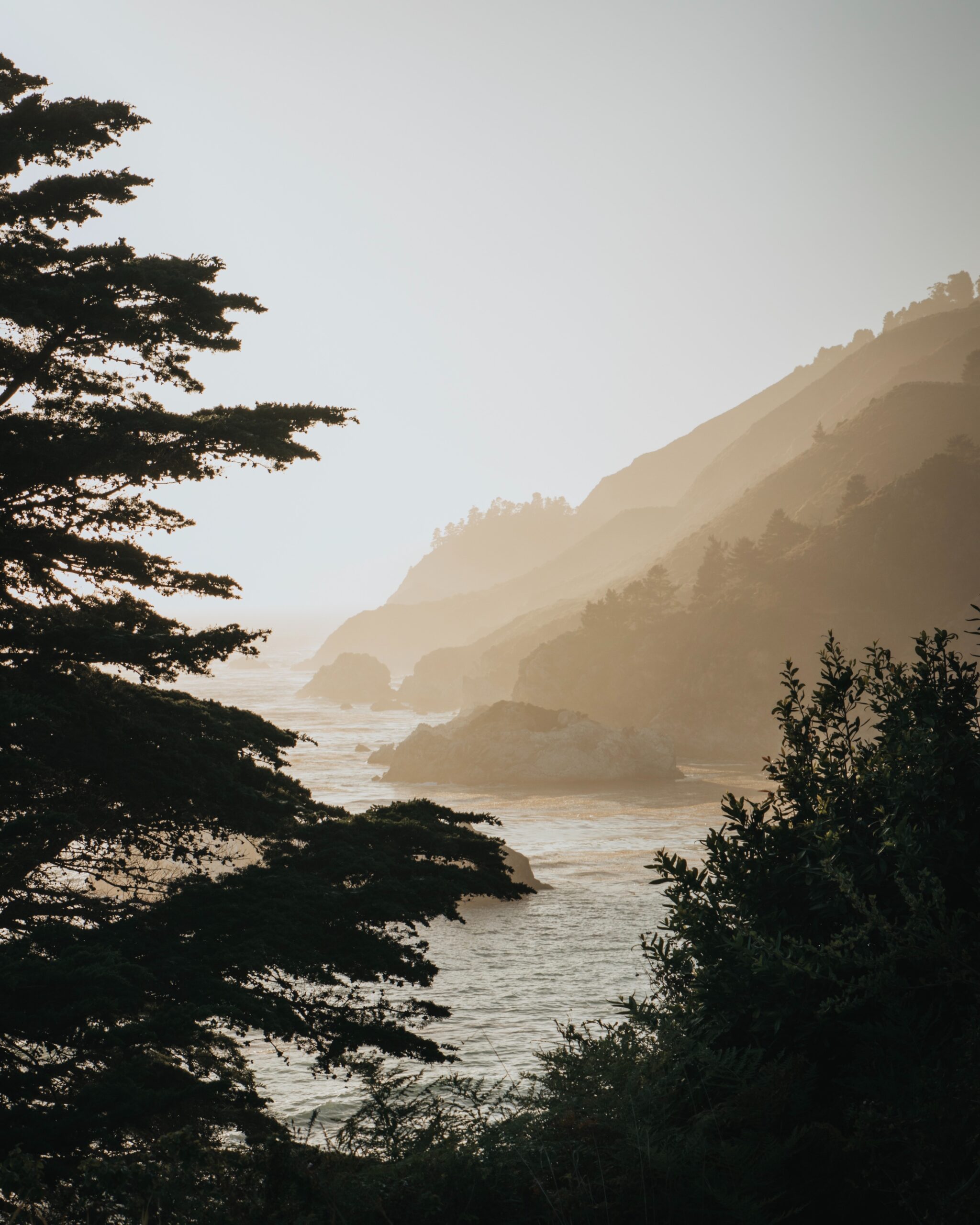 Big Sur Landscape and Ocean