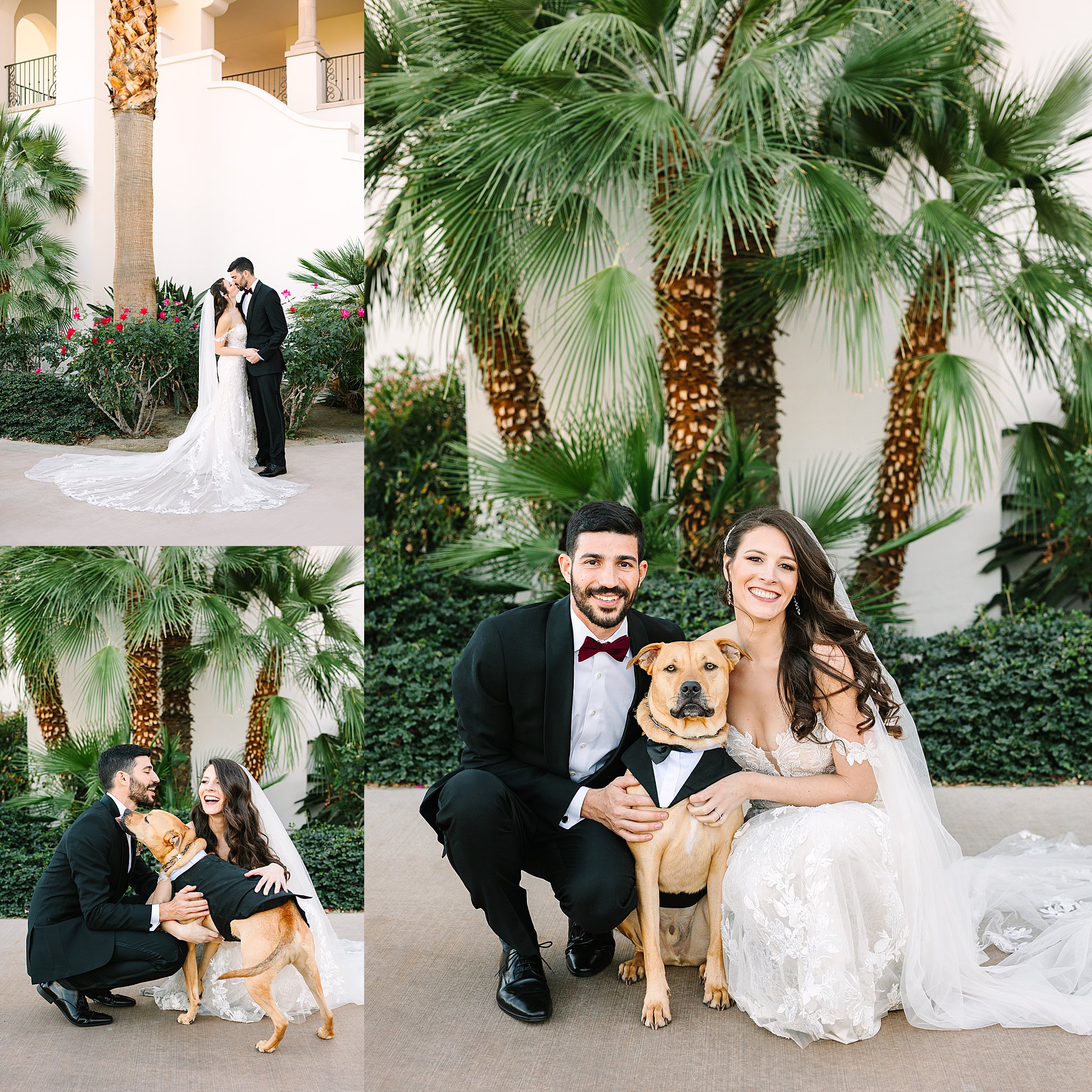 Bride and groom with their rescue pup